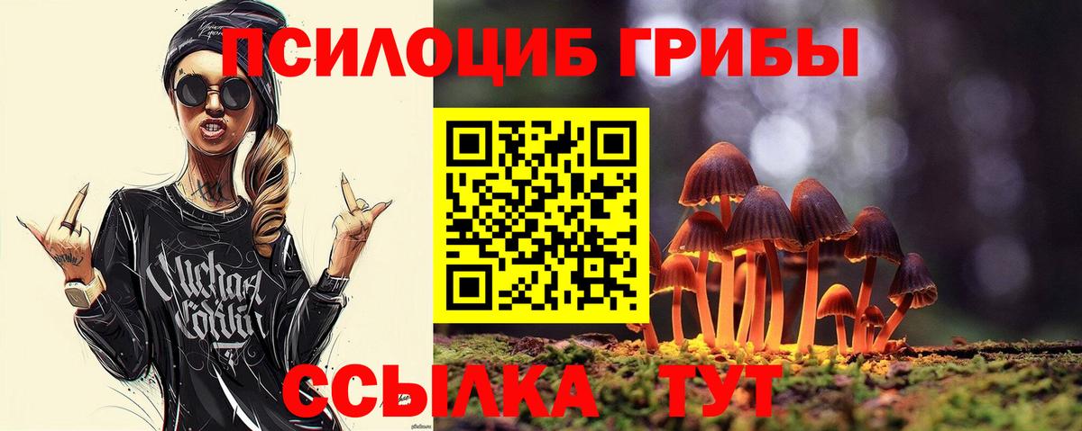 Галлюциногенные грибы мицелий  Галлюциногенные грибы мицелий  Луга  Вход с VPN 