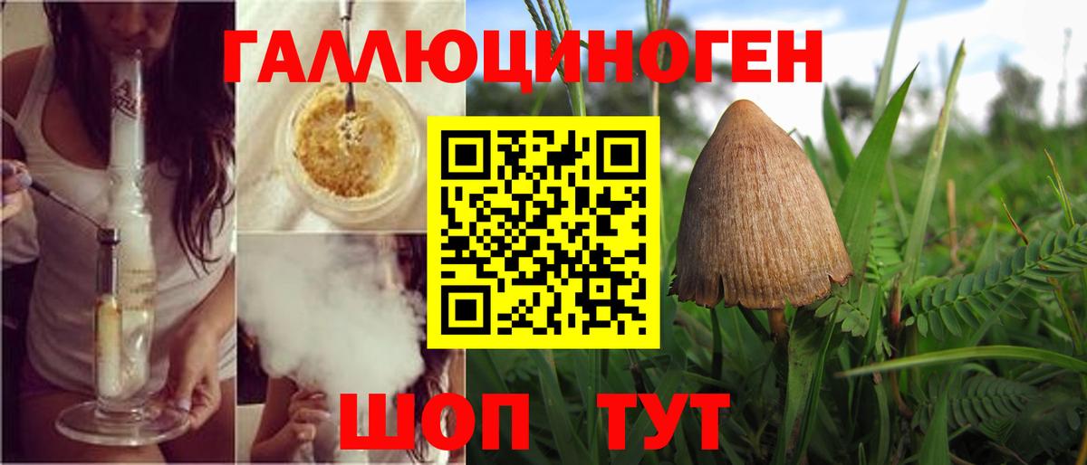  КОКАИН Луга